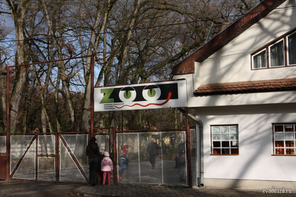 Gradina Zoologica Targu Mures | 3